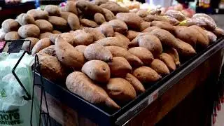 Celebrating 75 Years-The 2024 LSU AgCenter Sweet Potato Field Day