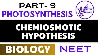 Chemiosmotic Hypothesis | Photosynthesis | Part 9 | Saumya Maurya | Neet