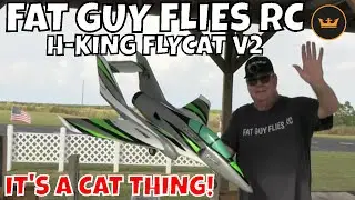 H-KING FLYCAT V2 IT'S A CAT THING by FGFRC 