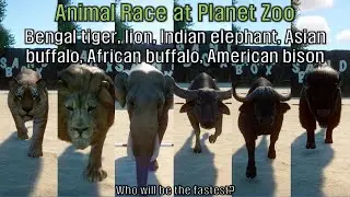 Lions, tigers, elephants and buffalo run at Planet Zoo!