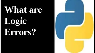 What are Logic Errors ?