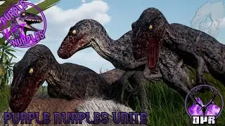 PURPLE NURPLES: UTAH PACK - The Beginning
