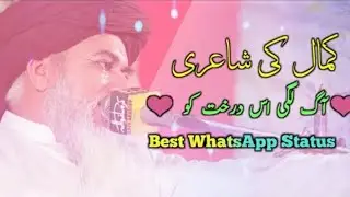 Allama Khadim Hussain Rizvi || WhatsApp Status || BAHAR E NAAT || Muhammad Hashmi