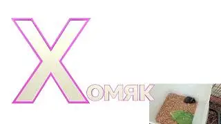буква х хомяк