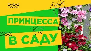 ЛУЧШИЙ ВАРИАНТ ДЛЯ ВЕРТИКАЛЬНОГО ОЗЕЛЕНЕНИЯ!!!