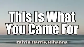 Calvin Harris, Rihanna - This Is What You Came For (Lyrics)