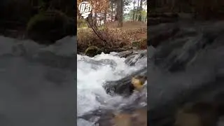 р. Гремячая, Баргузинский район.