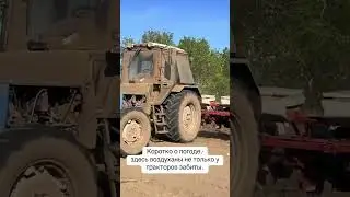 #мтз82