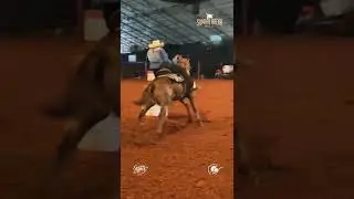 Sumaré Arena Music 2023 #cavalo #barrelracing #rodeios #cavalos #rodeo #trestambores #animais