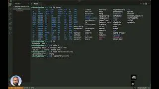 S4L2. Exploring entries in :proc | Linux Device Drivers for Beginners (101)