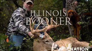 Giant Illinois Buck | 2023 Bow Hunt