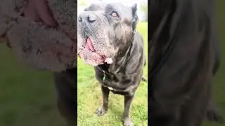 Спасибо огромное Катерине за такую красоту❤️