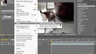 Adobe After Effects CS5 Tutorials - Saving & Exporting, Exporting Part No.2