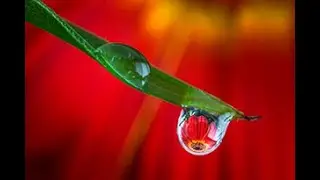 Photography Tips For Beginners - 5 Amazing Tips To Improve Your Photos