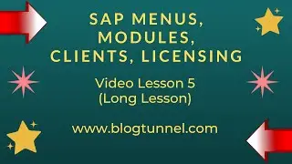 SAP Menus / Modules / Authorisations / Licensing #saplearning  #sapbasis #saptutorial