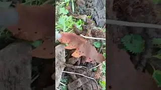 сброс касок