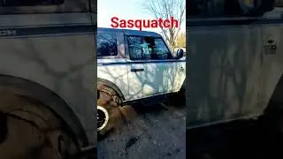 #Bronco Sasquatch two-door#Bronco Nation