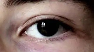 1969 Obsolescencia Programada - Sproj3ct
