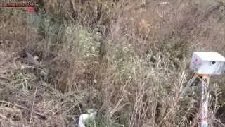 Комплекс Арена установлен с нарушениями!