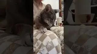 Вот так всегда 🤣 