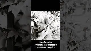 Ніна Україна і клематиси #клематис #клематисукраїна