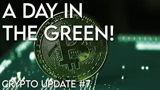 A day in the green! - Crypto Market Update #7: 30th May 2022