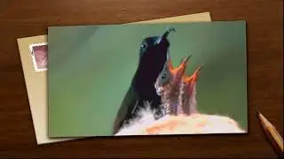 12 - And your bird can sing - Stin