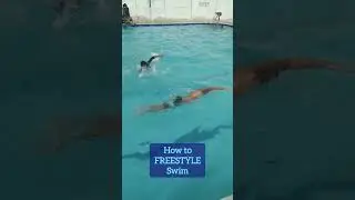 How to FREESTYLE Swim | Olympics 2024 #swimming #olympics2024