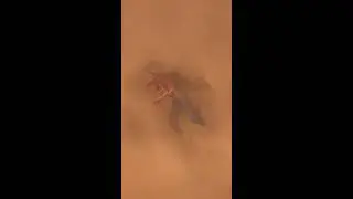 В ПРЯМОМ ЭФИРЕ! !СТРИМ!!! 