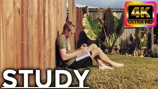 Study [] A Distance Education Short Film [] Joseph Diachenko [] 4K Ultra HD