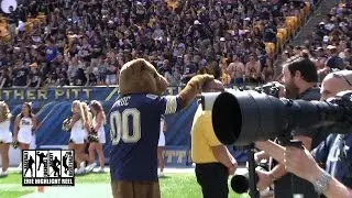 Pittsburgh Panthers Mascot Messing With Security Guard