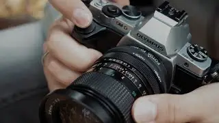 365
