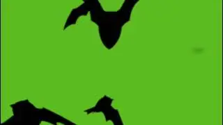 Free Green Screen Flying Bats
