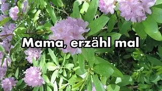 Mama erzähl mal | Mein Erinnerungsbuch | OurBookPassion