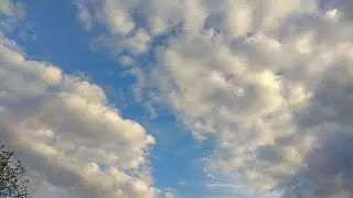 ЖИТОМИРЩИНА ЖИТОМИРСЬКА ОБЛАСТЬ БЕРДИЧІВ УКРАЇНА ЖИТОМИР