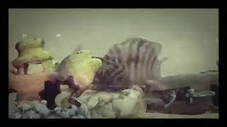 Reproduccion del ciclido convicto