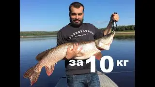 Трофейная рыбалка 2019 ,Обь.Крокодилы в ХМАО