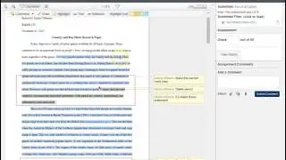 Peer Review Annotations