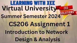 CS206 Introduction to Network Design & Analysis Assignment 1 Summer 2024 Virtual University