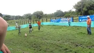 Campo Ecologico Gramalote - Trabajo de Llano Cogida de Marranos