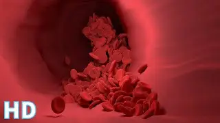 Blood Stock Footage | Blood Pressure | Free HD Videos - no copyright
