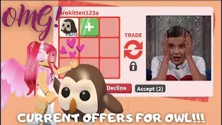🤩 Current SPECTACULAR Offers For Owl! 🤩