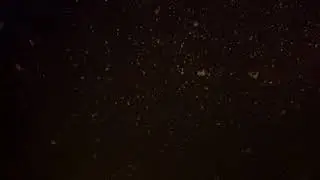 30 марта 2019 г.(2)