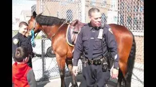 POLICE VIST