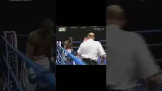 champion boxe anglais 