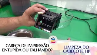 Tutorial - Head Cleaning - HP 8100 8600 8610 7110 7612 T120 T520 8210 8710 276DW - SULINK