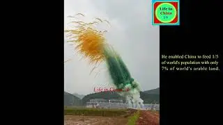 Paddy rice shaped fireworks in memory of Yuan Longping / The Father of Hybrid Rice / Life in China19