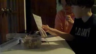 Art+SpellingClip