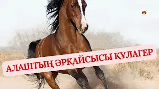 10.12.24ж / апталық. “Қызғышқұс” “Құлагер” “Маса”