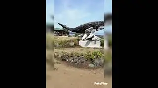 amazing driftwood whale 🐋🤩